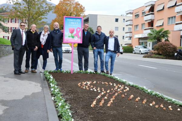 Il Municipio di Losone al completo alla posa del cartello informativa della campagna "1 Tulipano per la VITA".