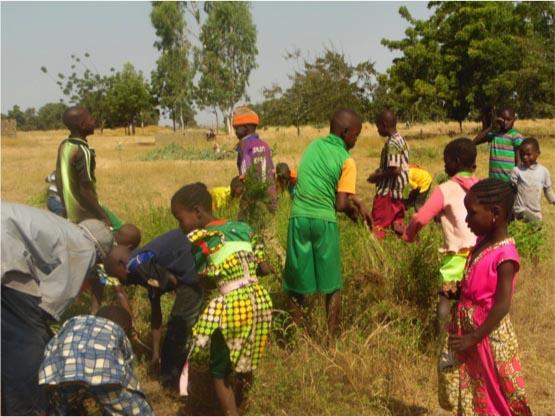 Ragazze e ragazzi al lavoro nei campi in Burkina Faso.